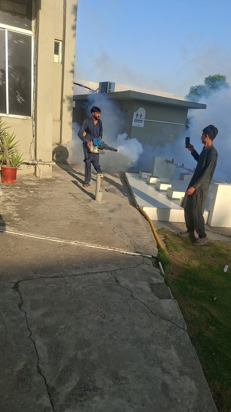 Termite Control in Islamabad